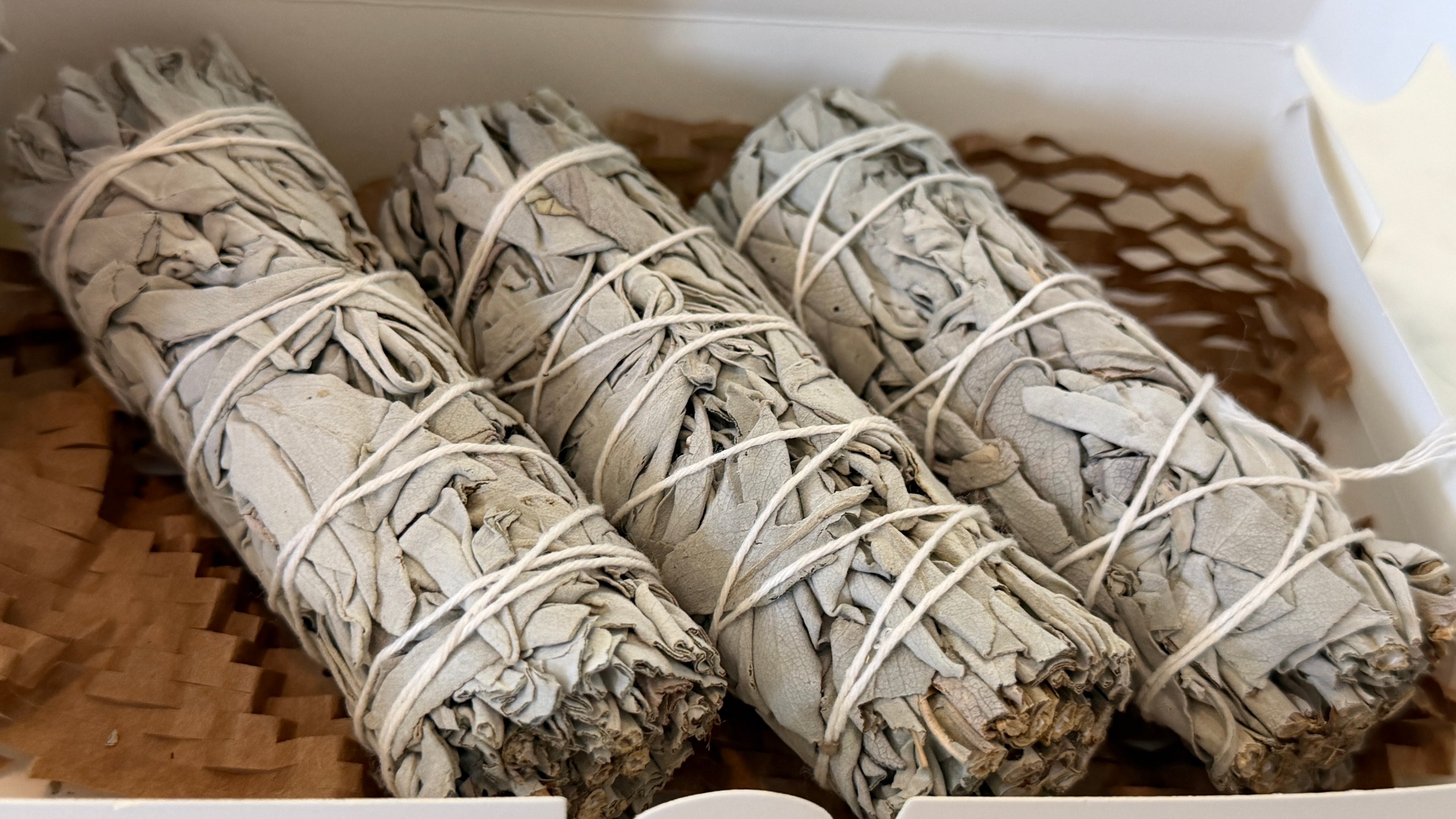 The First Ritual | California White Sage Bundle + Intuitive Card