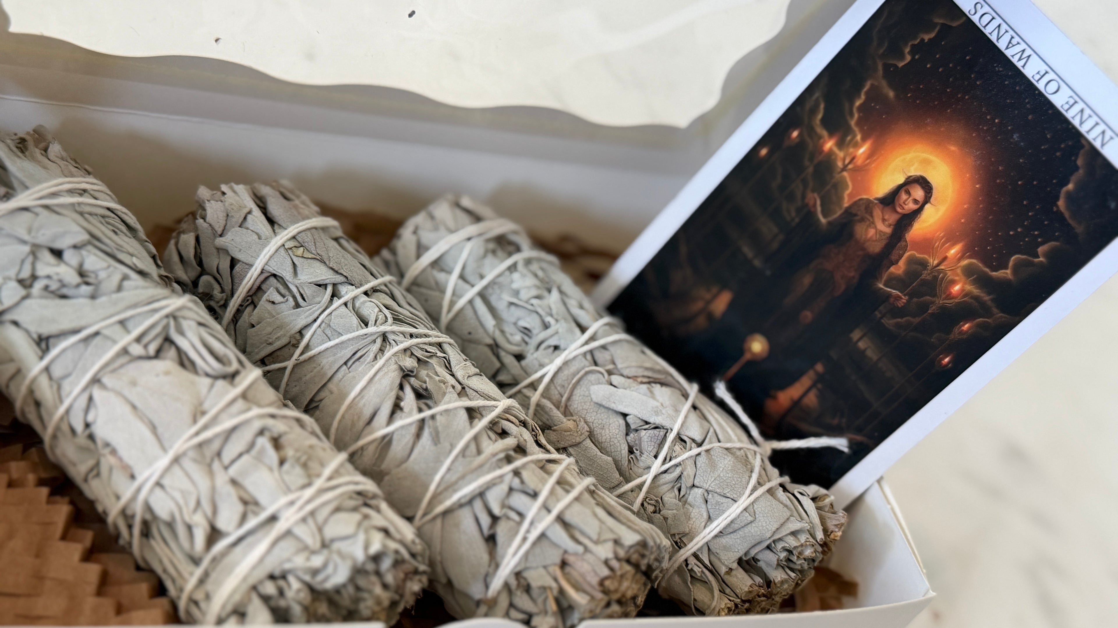 The First Ritual | California White Sage Bundle + Intuitive Card